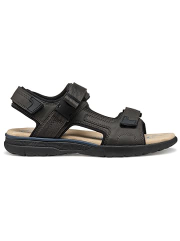Geox Sandalen "Spherica EC5" bruin