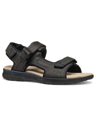 Geox Sandalen "Spherica EC5" in Braun
