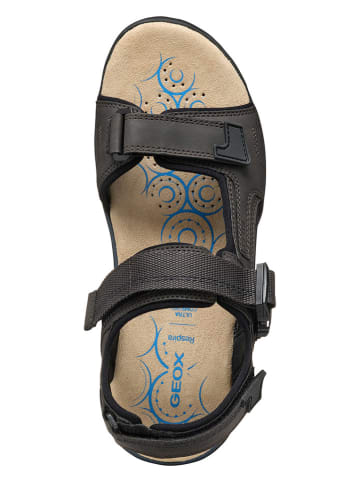 Geox Sandalen "Spherica EC5" in Braun