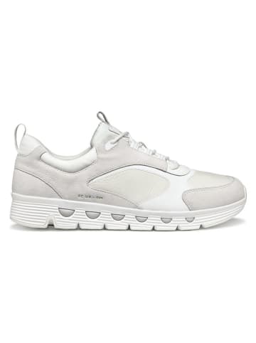 Geox Leder-Sneakers "Spherica Ecub" in Creme