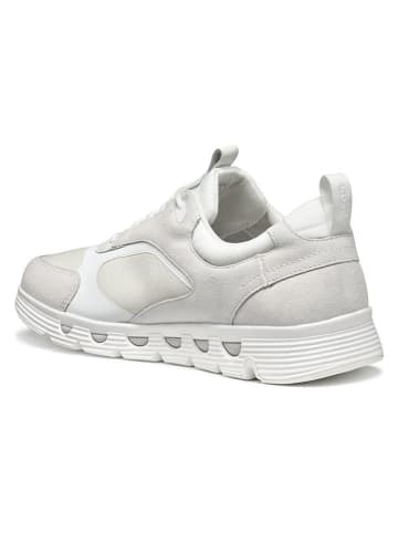 Geox Skórzane sneakersy "Spherica Ecub" w kolorze kremowym