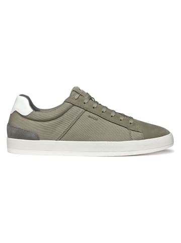 Geox Sneakers "Serifos" in Khaki