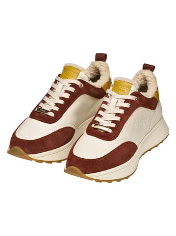 Geox Leder-Sneakers "Amabel" in Creme/ Hellbraun