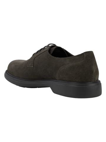 Geox Leder-Schnürschuhe "Ottavio" in Khaki