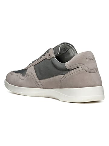 Geox Leren sneakers "Kennet" grijs