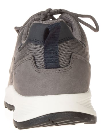 Geox Sneakers in Grau