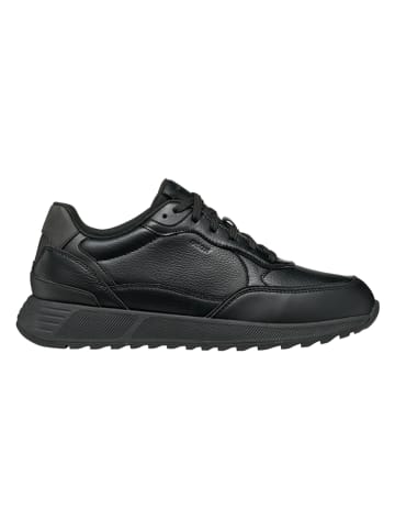 Geox Sneakers "Molveno" in Schwarz