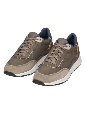 Geox Sneakers "Molveno" in Taupe
