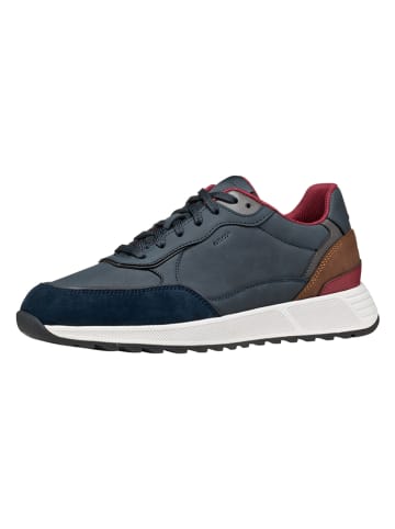 Geox Sneakers "Molveno" in Dunkelblau