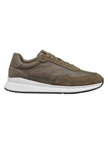 Geox Sneakersy "Branthon" w kolorze khaki