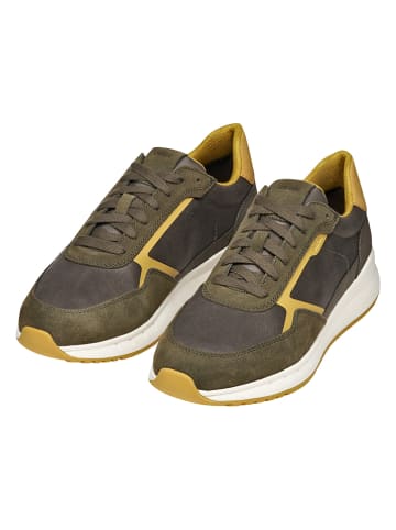 Geox Sneakers "Branthon" in Khaki/ Hellbraun