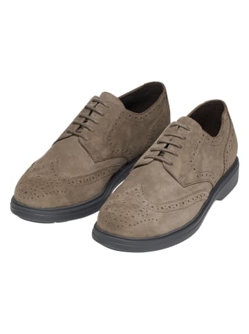 Geox Leder-Schnürschuhe "Ottavio" in Taupe