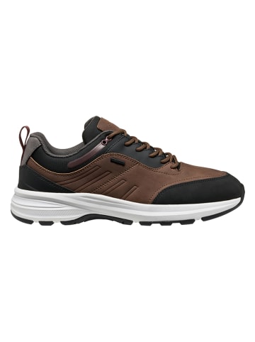 Geox Sneakers "Senales B Abx" in Braun/ Schwarz