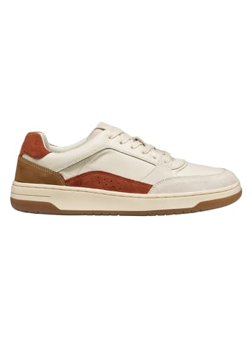 Geox Leder-Sneakers "Sedral Court" in Creme/ Hellbraun