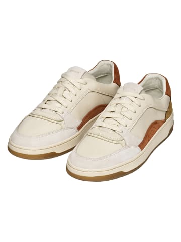 Geox Leder-Sneakers "Sedral Court" in Creme/ Hellbraun