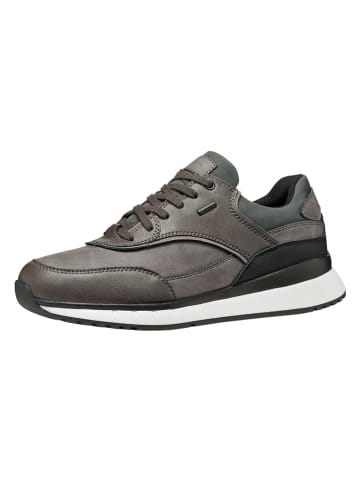 Geox Sneakers "Branthon B Abx" in Grau