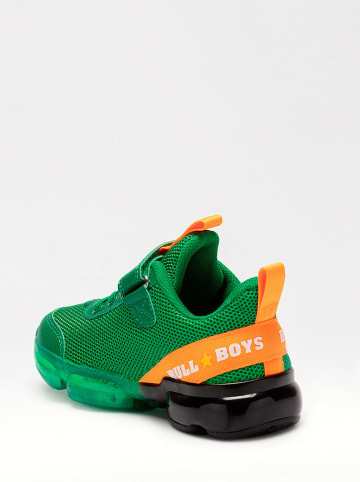 Bull Boys Sneakers "T-Rex" in Grün