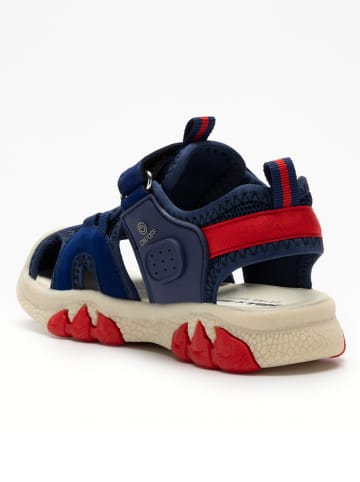 Bull Boys Enkelsandalen donkerblauw