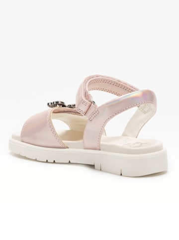 Lelli Kelly Sandalen in Rosa