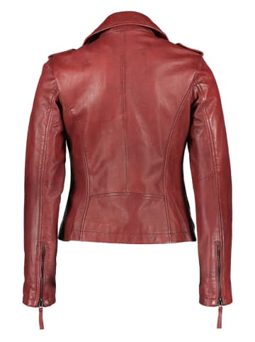 Apple of Eden Lederjacke in Bordeaux