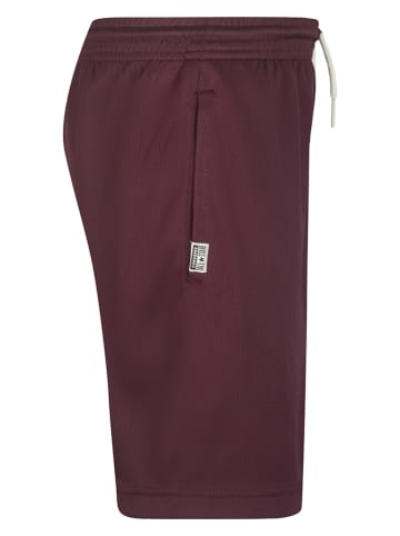 Converse Szorty w kolorze ciemnoczerwonym