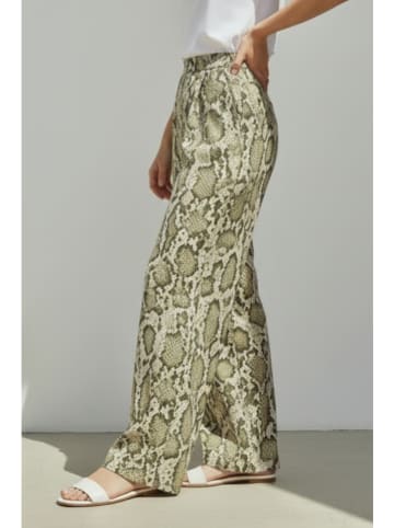 William de Faye Hose in Grün