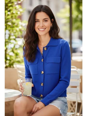 William de Faye Vest blauw