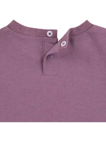 Converse Pakje paars