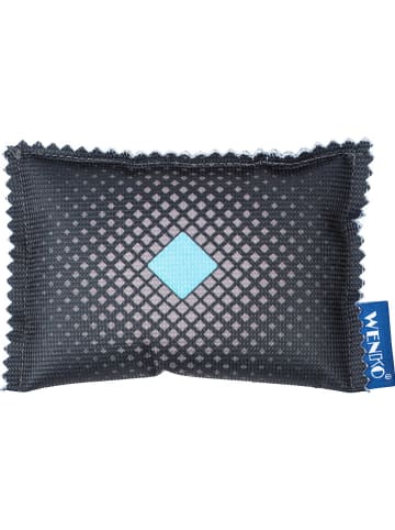 Wenko 2-delige set: auto-luchtontvochtigers zwart - (B)9 cm - elk 120 g