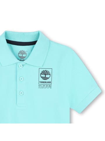 Timberland Koszulka polo w kolorze błękitnym