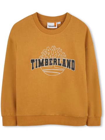 Timberland Sweatshirt in Orange