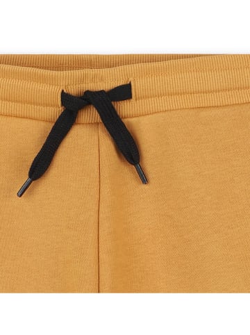 Timberland Szorty w kolorze pomarańczowym