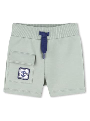 Timberland Shorts in Grün