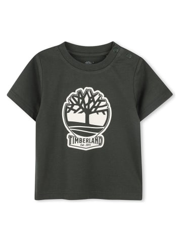 Timberland Shirt antraciet