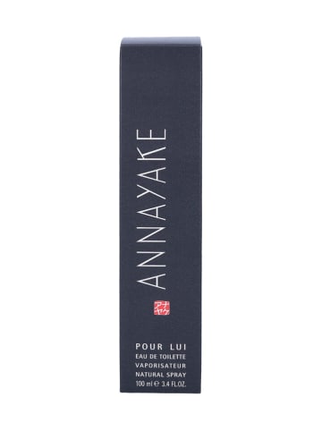 Annayake Annayake pour Lui - eau de toilette, 100 ml