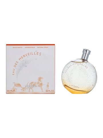 Hermès Eau Des Merveilles - EDT - 100 ml