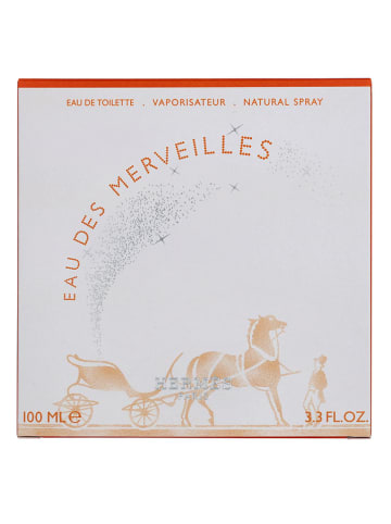 Hermès Eau Des Merveilles - eau de toilette, 100 ml