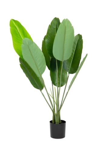 Homla Sztuczna roślina "Tropical Zone" w kolorze zielono-czarnym - wys. 90 cm