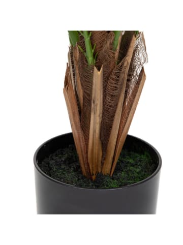 Homla Kunstpflanze "Tropical Zone" in Grün/ Schwarz - (H)90 cm