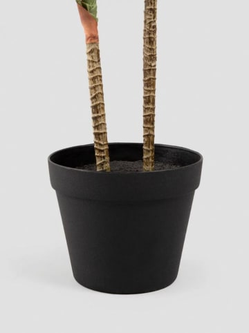 Homla Kunstplant "Tropical Zone" groen/zwart - (H)90 cm
