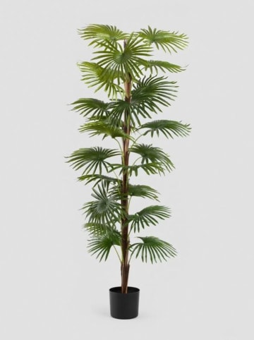 Homla Sztuczna roślina "Tropical Zone" w kolorze zielono-czarnym - wys. 150 cm