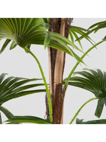 Homla Kunstplant "Tropical Zone" groen/zwart - (H)150 cm