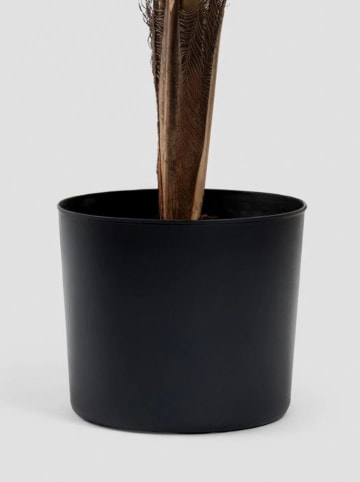 Homla Kunstpflanze "Tropical Zone" in Grün/ Schwarz - (H)150 cm