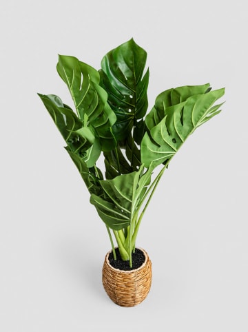 Homla Sztuczna roślina "Monstera" w kolorze zielono-jasnobrązowym - wys. 60 cm