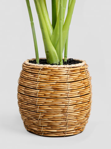 Homla Kunstpflanze "Monstera" in Grün/ Hellbraun - (H)60 cm