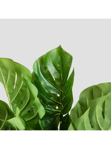 Homla Sztuczna roślina "Monstera" w kolorze zielono-jasnobrązowym - wys. 60 cm
