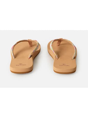 Rip Curl Zehentrenner "Freedom" in Bunt/ Hellbraun