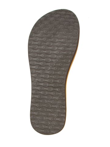 Rip Curl Zehentrenner "Freedom" in Bunt/ Hellbraun
