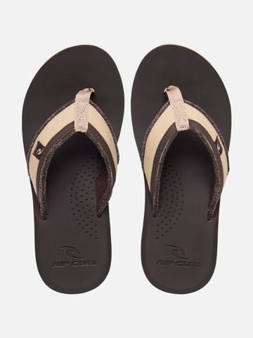 Rip Curl Zehentrenner "Reactor" in Beige/ Braun