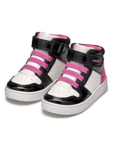 Geox Sneakers "Eclyper" in Weiß/ Schwarz